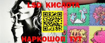шишки Лесосибирск