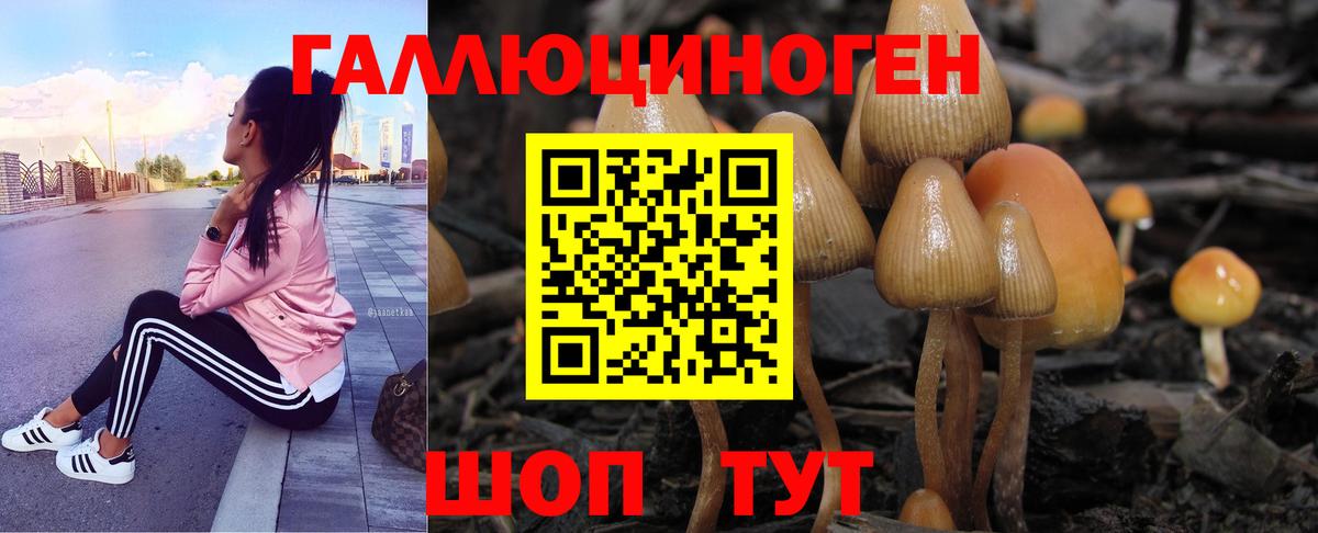Копейск  Галлюциногенные грибы Psilocybine cubensis  Галлюциногенные грибы Psilocybine cubensis  Вход с VPN 